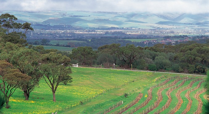 Image courtesy of South Australia