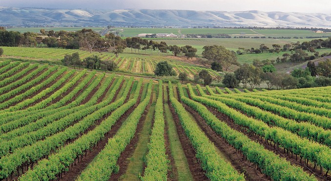 Image courtesy of South Australia