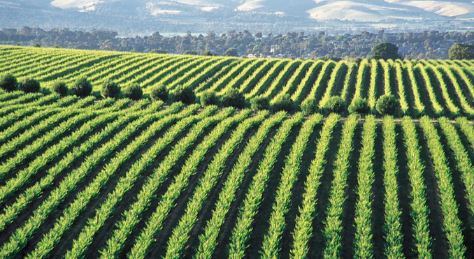 Image courtesy of South Australia