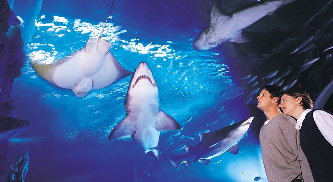 Image courtesy of Tourism Victoria
