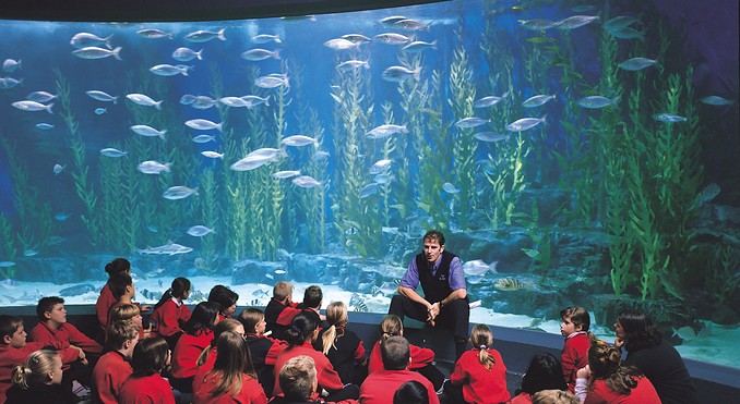 Image courtesy of Tourism Victoria