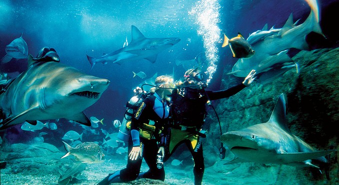 Image courtesy of Tourism Victoria