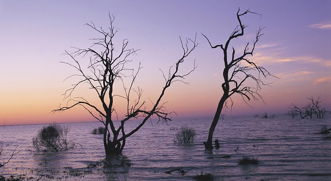Image courtesy of Tourism New South Wales