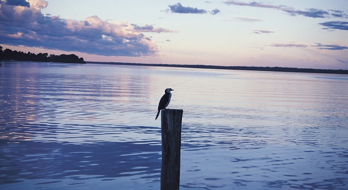 Image courtesy of Tourism Victoria