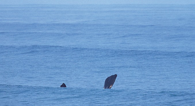 Image courtesy of South Australia