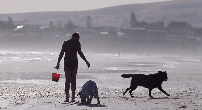 Image courtesy of South Australia