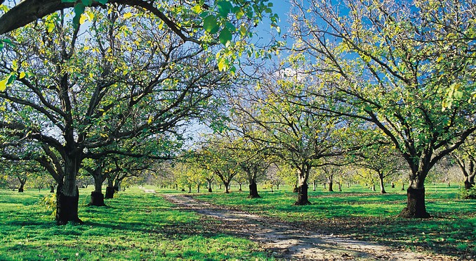 Image courtesy of Tourism Victoria