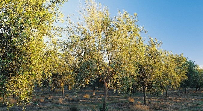 Image courtesy of Tourism Victoria
