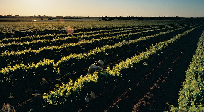 Image courtesy of Tourism Victoria