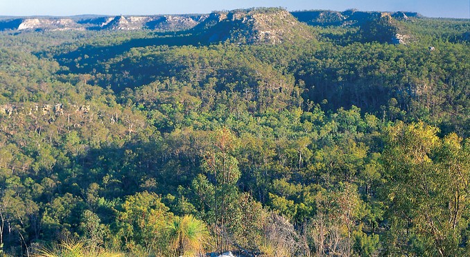 Image courtesy of Tourism Queensland