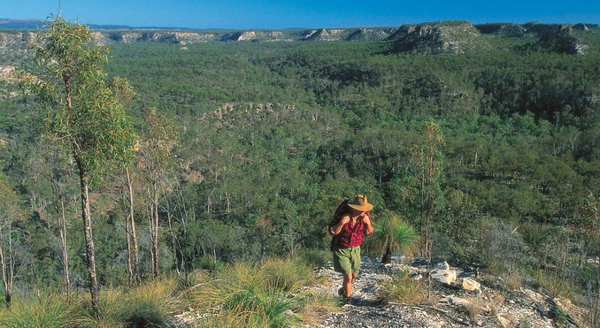 Image courtesy of Tourism Queensland