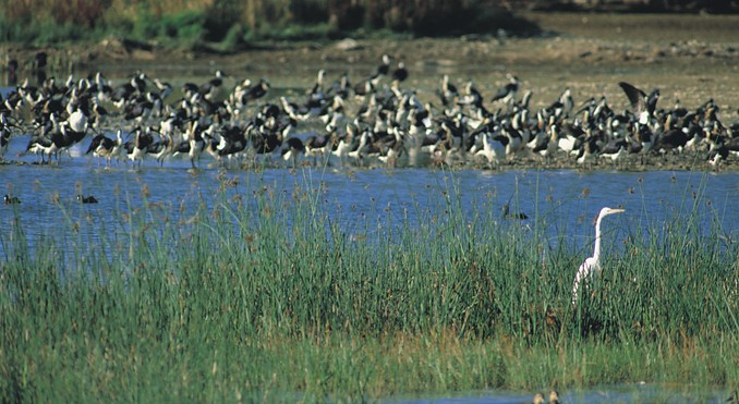 Image courtesy of South Australia