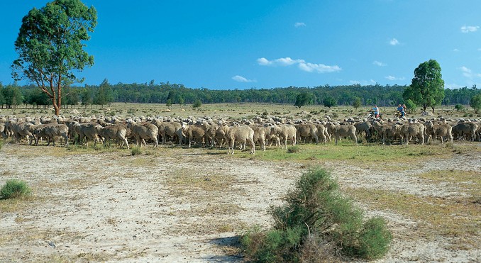 Image courtesy of Tourism Queensland