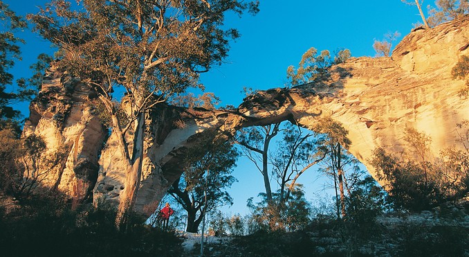 Image courtesy of Tourism Queensland
