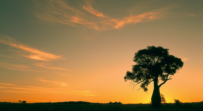 Image courtesy of Tourism Queensland