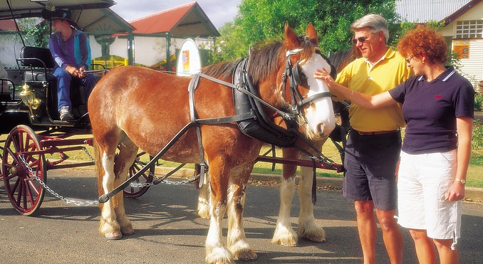 Image courtesy of Tourism Queensland