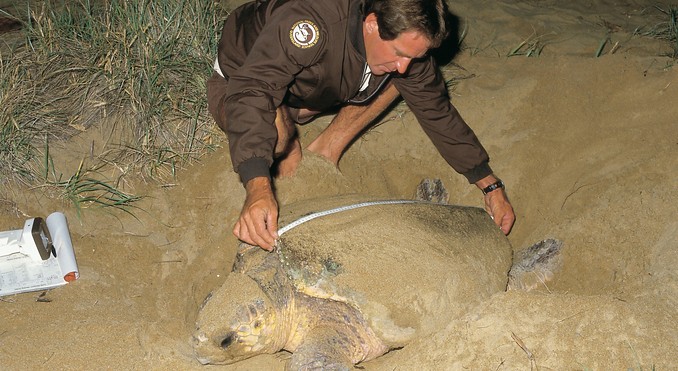 Image courtesy of Tourism Queensland