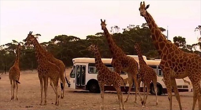 Image courtesy of South Australia
