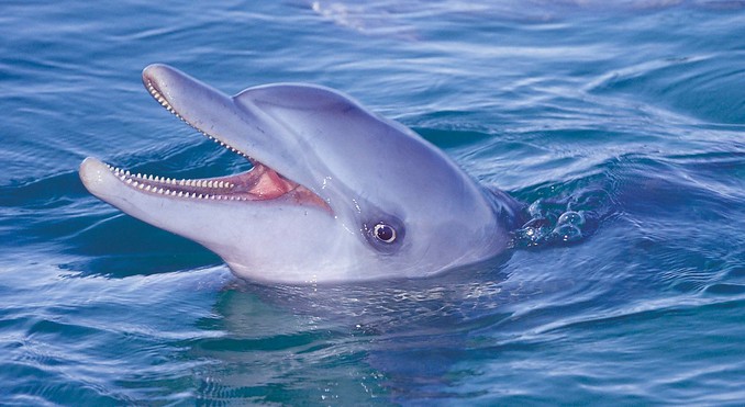 Image courtesy of Western Australia