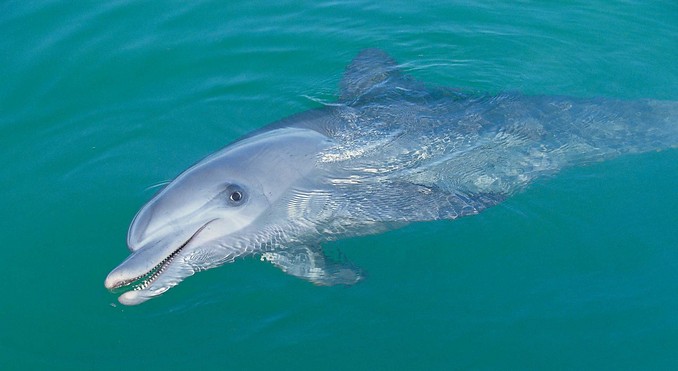 Image courtesy of Western Australia