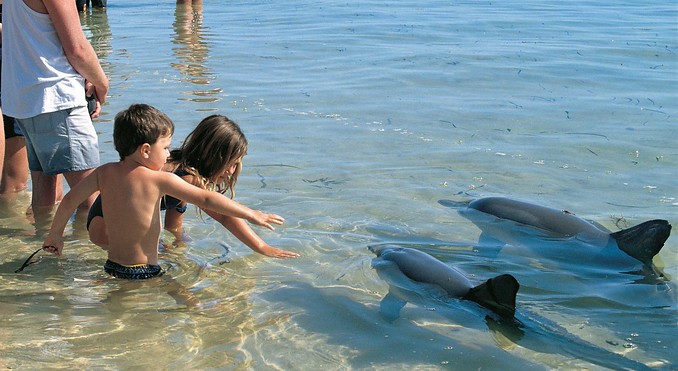 Image courtesy of Western Australia