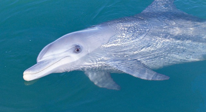 Image courtesy of Western Australia