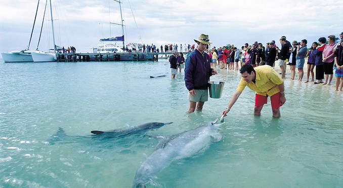 Image courtesy of Western Australia