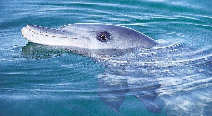 Image courtesy of Western Australia