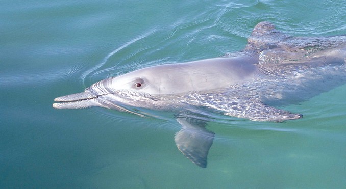 Image courtesy of Western Australia
