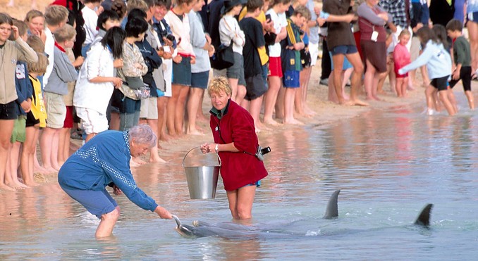 Image courtesy of Western Australia