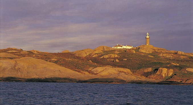 Montague Island