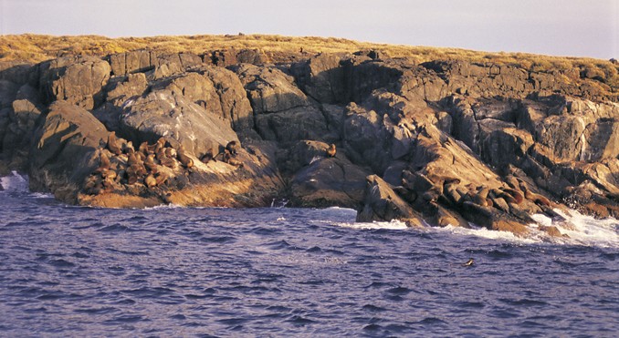 Image courtesy of Tourism New South Wales