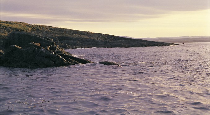 Image courtesy of Tourism New South Wales