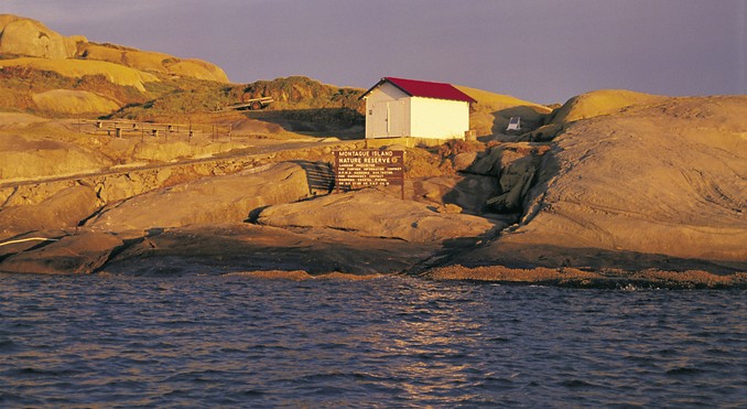 Image courtesy of Tourism New South Wales