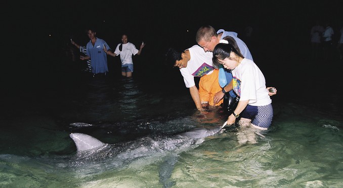 Image courtesy of Tourism Queensland