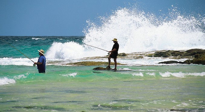Image courtesy of Tourism Queensland