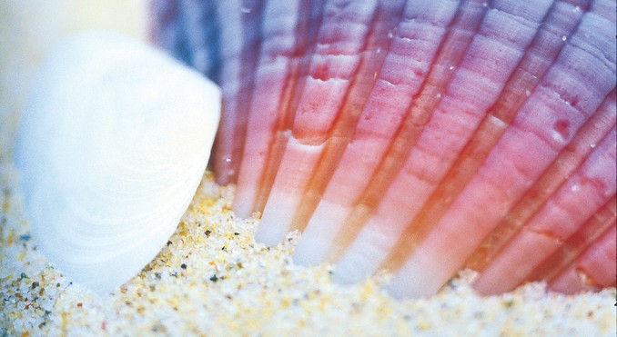 Image courtesy of Tourism Queensland