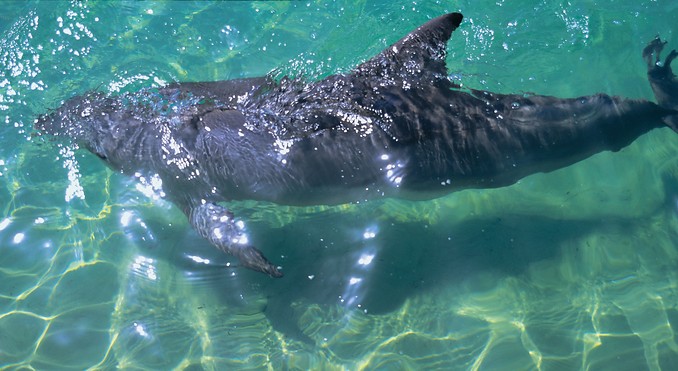 Image courtesy of Tourism Queensland