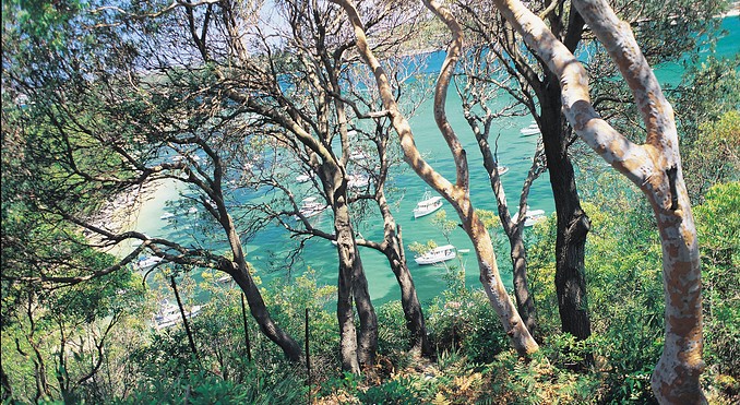 Image courtesy of Tourism New South Wales