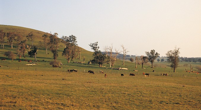 Image courtesy of Tourism New South Wales