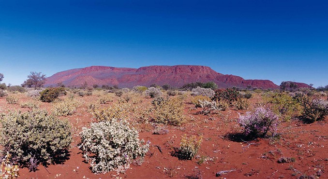 Image courtesy of Western Australia