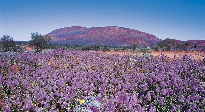 Image courtesy of Western Australia