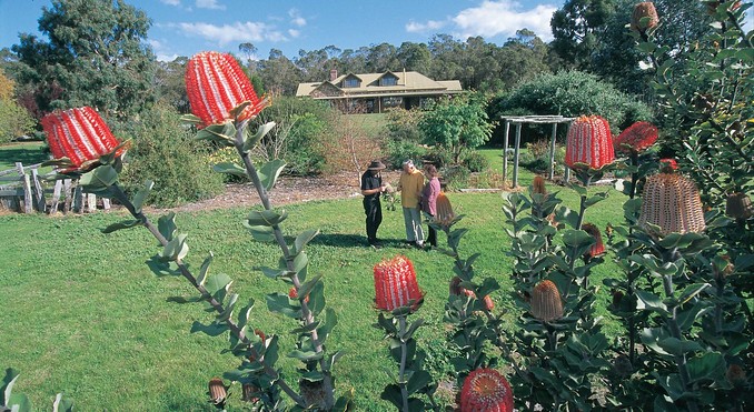 Image courtesy of Western Australia