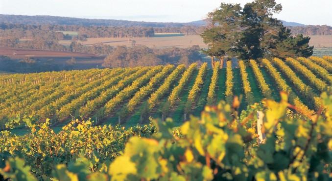 Image courtesy of Western Australia