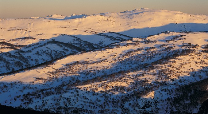 Mount Blue Cow