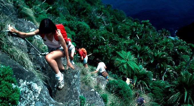 Grahame McConnell - Lord Howe Island Tourism