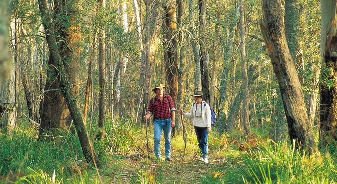 Image courtesy of Tourism New South Wales