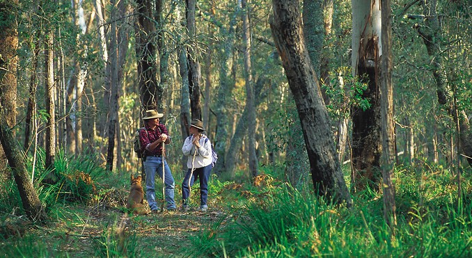 Image courtesy of Tourism New South Wales