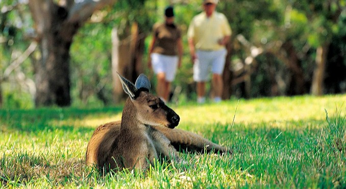 Image courtesy of South Australia