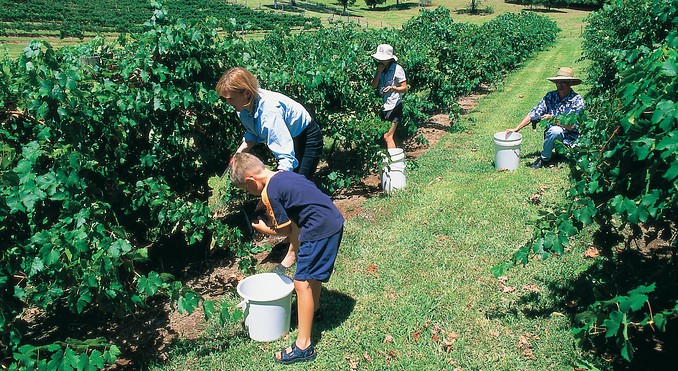 Image courtesy of Tourism Queensland